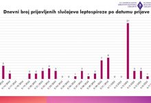 Photo of ZZJZ KS – Ukupno 71 prijavljeni slučaj leptospiroze od početka epidemije